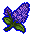 Night flower