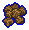 Beet Seed