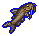Catfish