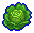 Cabbage